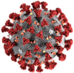 Coronavirus